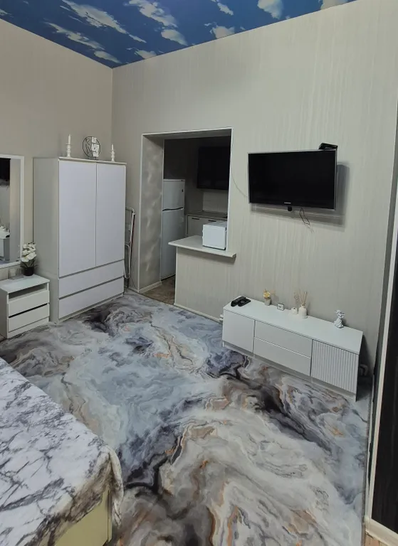 Студия однокомнатная на улице Профинтерне, 30 м², Кисловодск — фото 8