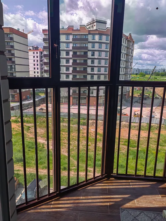 Квартира однокомнатная на улице Балтийской, 40 м², Борисовичи — вид из окна