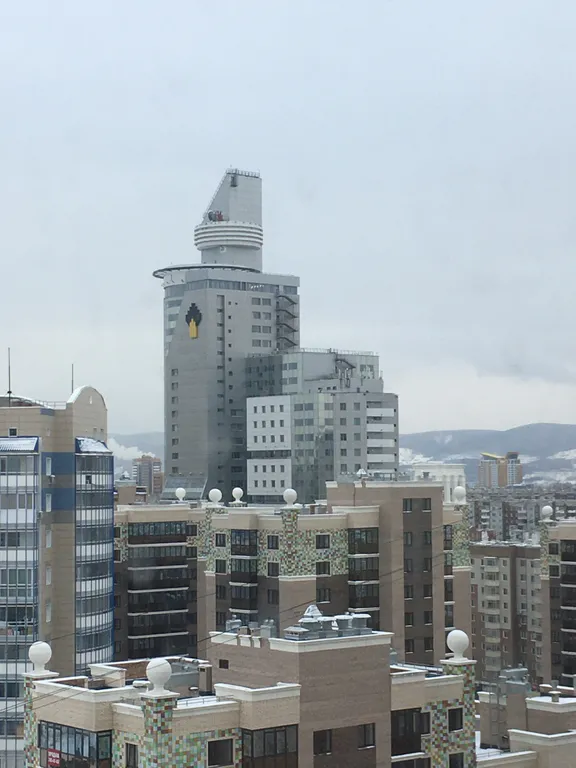 Квартира двухкомнатная в Советском, 50 м², Красноярск — вид из окна