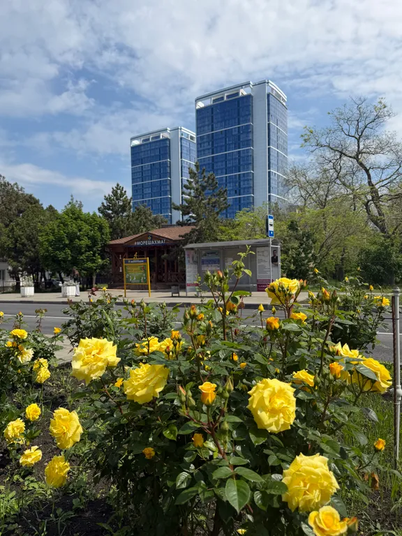 Квартира однокомнатная на улице Крепостной, 37 м², Анапа — фото 11