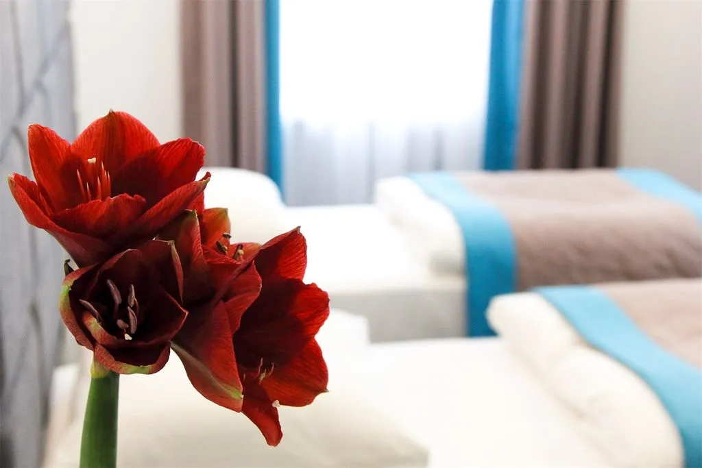 Двухместный номер с 2 отдельными кроватями Делюкс