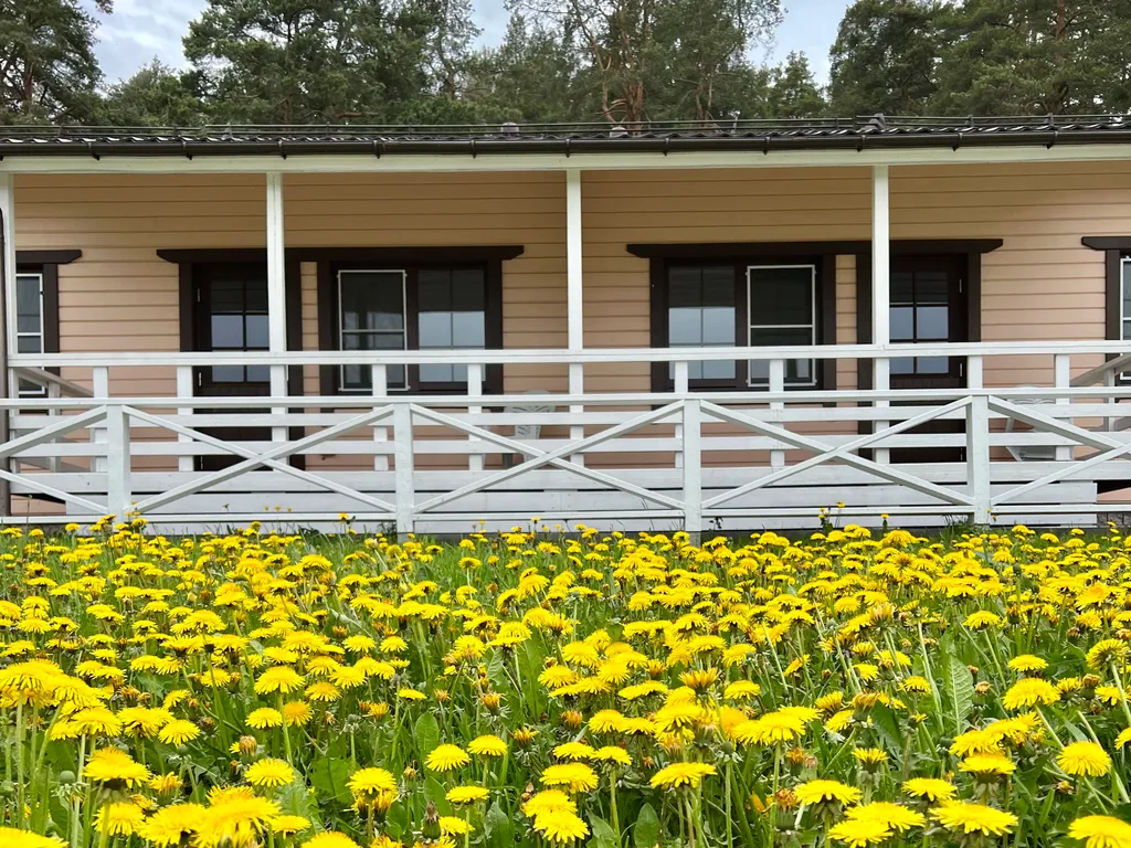 Коттедж Стандарт Дуплекс