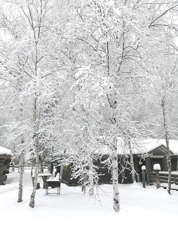 Дом дом для двоих  №12