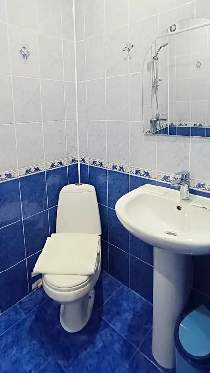 Двухместный номер с 1 кроватью Комфорт с балконом — Багира — фото 2