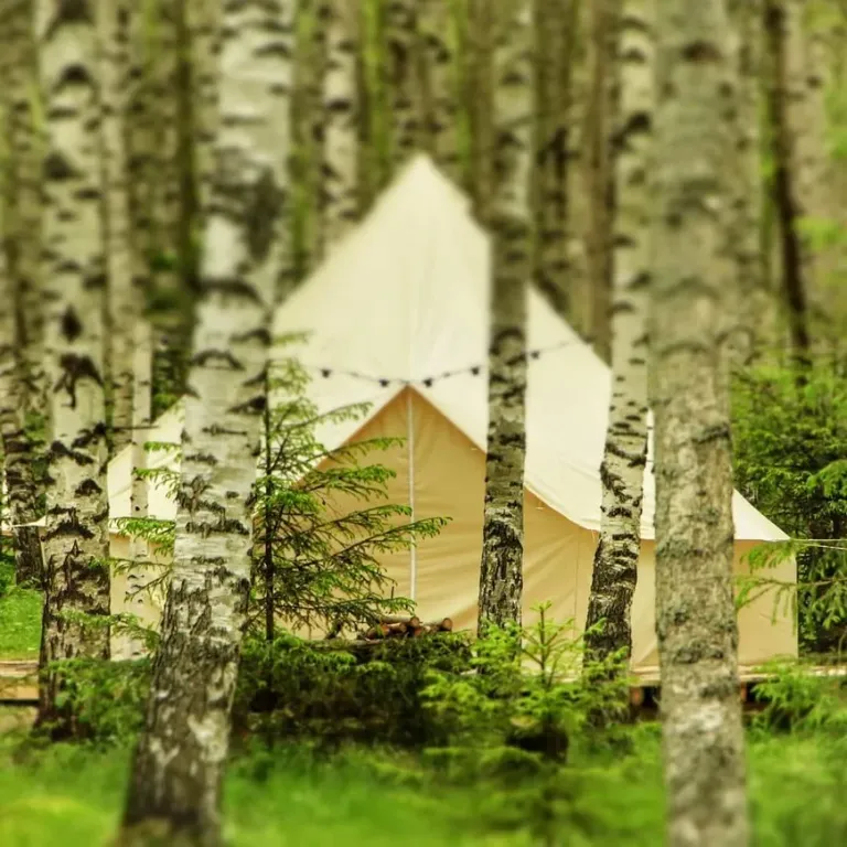 Берег Грифона. Глэмпинг • Эльфийская деревня