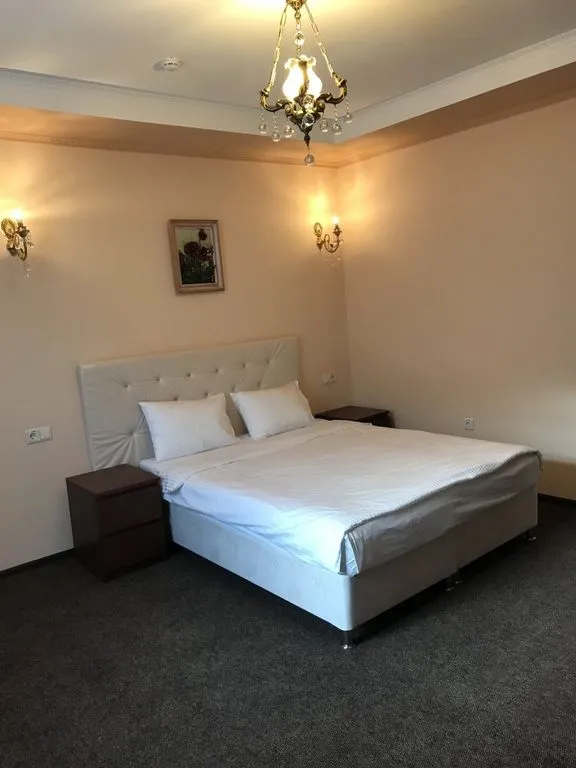 Двухместный номер с 1 кроватью Комфорт — общий вид