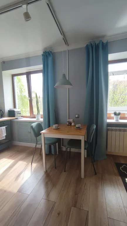Квартира однокомнатная у Российской, в Октябрьском, 33 м², Самара — кухня, фото 4