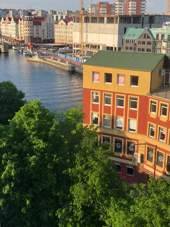 Квартира однокомнатная в Московском, 36 м², Калининград — вид из окна, фото 5