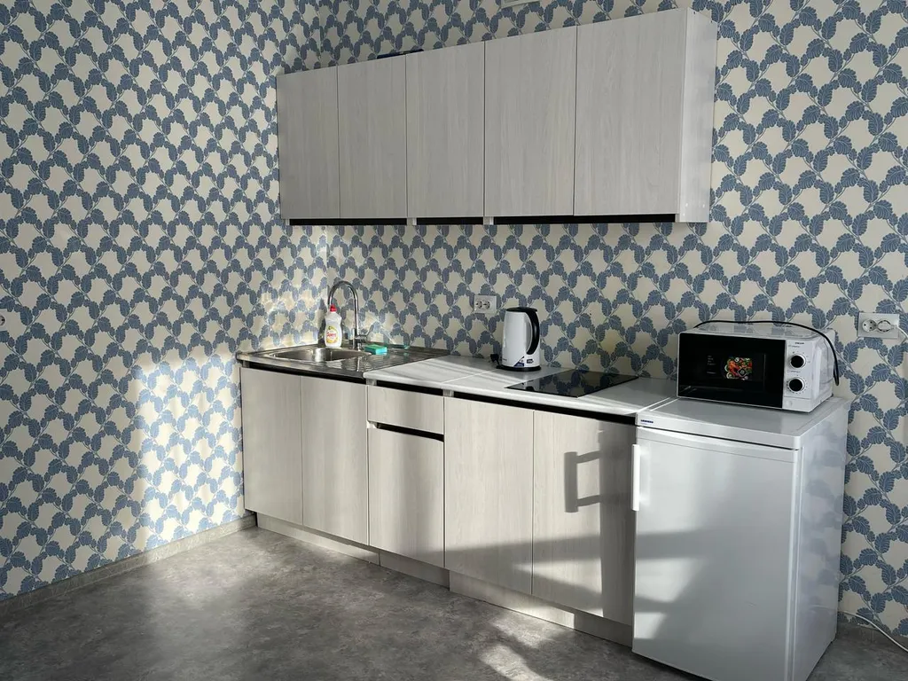 Квартира однокомнатная у Московской, в Октябрьском, 45 м², Самара — кухня