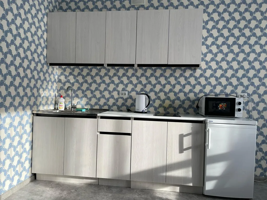 Квартира однокомнатная у Московской, в Октябрьском, 45 м², Самара — кухня, фото 2