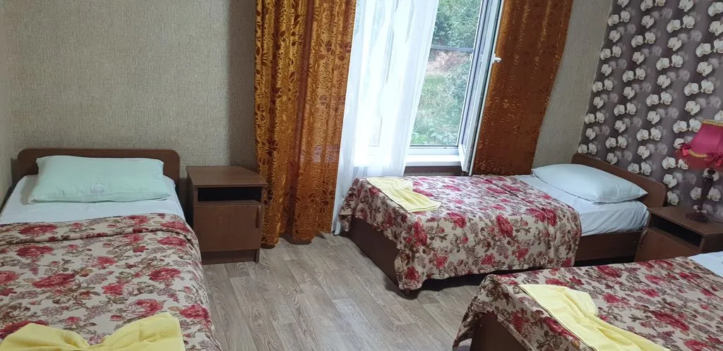 Четырёхместный номер эконом с видом на горы — вид из окна
