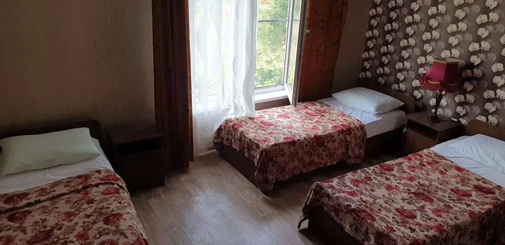 Четырёхместный номер эконом с видом на горы — детали