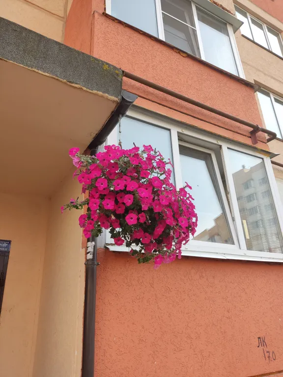 Квартира двухкомнатная на улице Завокзальной, 65 м², Великий Новгород — фото 16