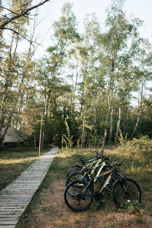 Polyana Glamping — общая зона