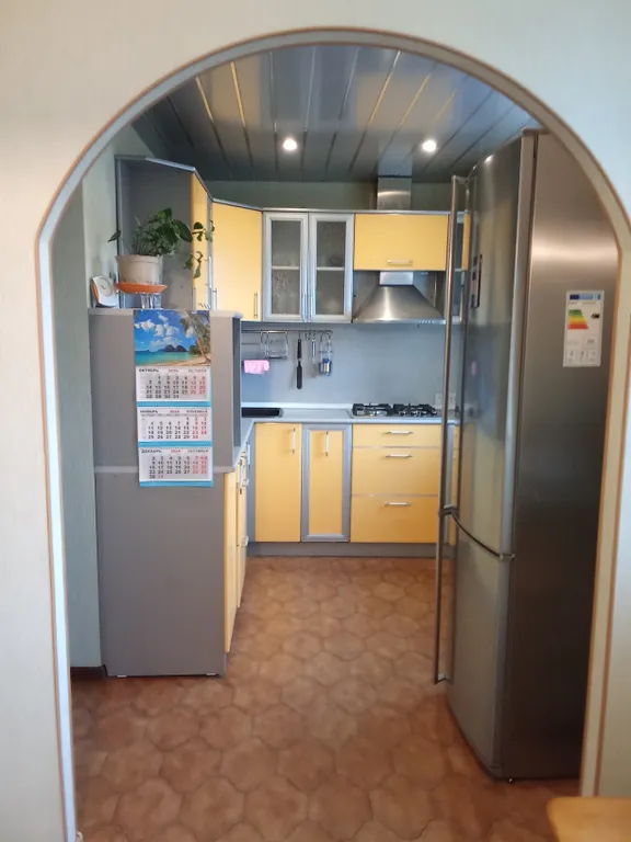 Квартира однокомнатная на улице Державина, 50 м², Великий Новгород — кухня, фото 3