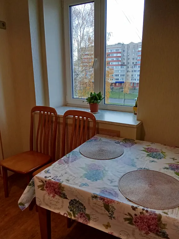 Квартира однокомнатная на улице Державина, 50 м², Великий Новгород — кухня, фото 4