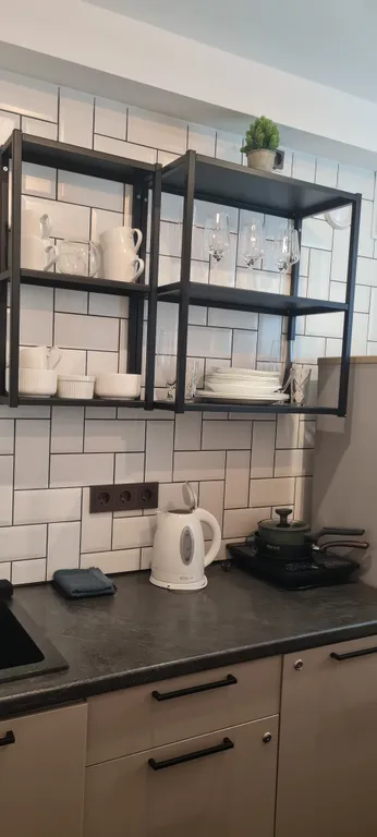 Квартира однокомнатная на улице Металлистове, 30 м², Псков — кухня, фото 2