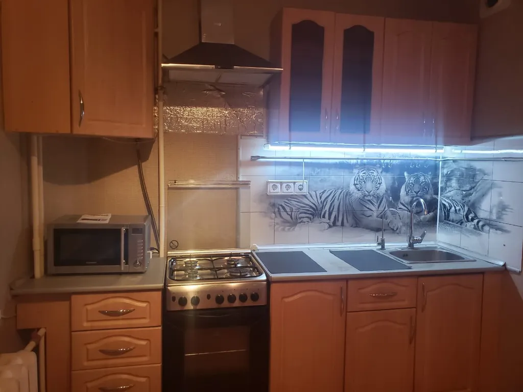 Квартира однокомнатная в переулке Пескарёва, 38 м², Великие Луки — фото 6