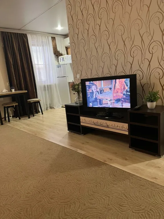 Студия однокомнатная на улице Ленина, 40 м², Камышин — фото 18