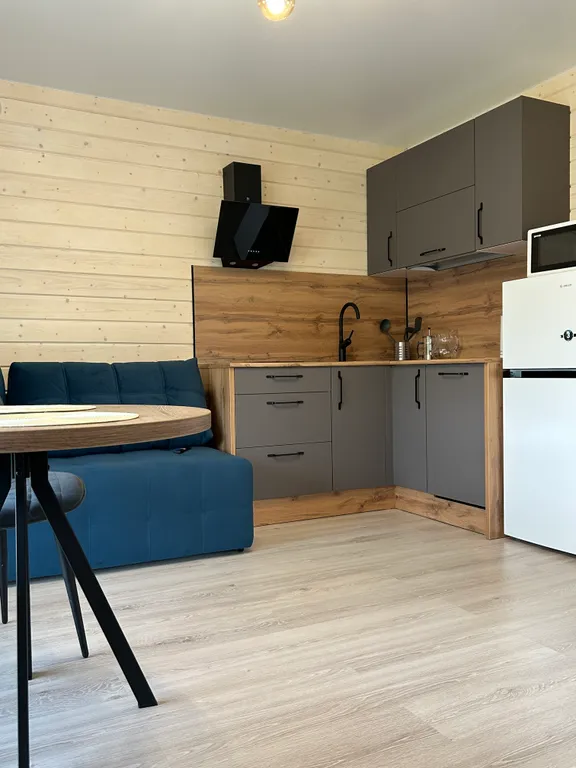 Дом 3-местный в посёлке Ляскели, 36 м², Сортавала — кухня