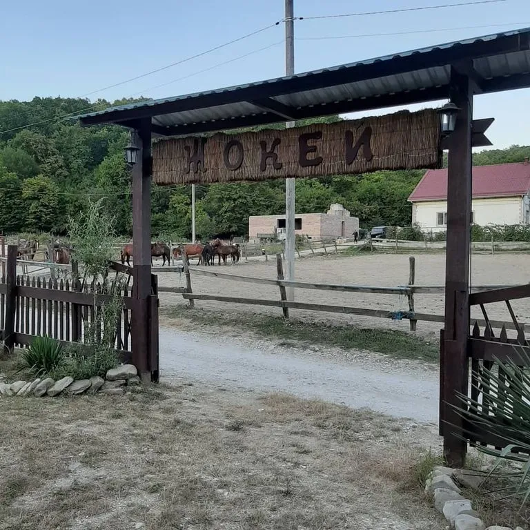 Фото отеля «Жокей», 9