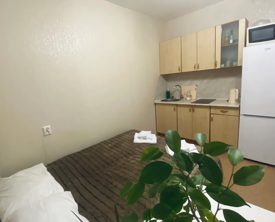 Студия однокомнатная в Московском, 17 м², Нижний Новгород — спальня, фото 4