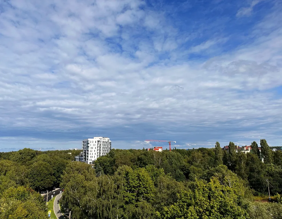 Апартаменты однокомнатные на проспекте Калининградском, 40 м², Светлогорск — фото 29