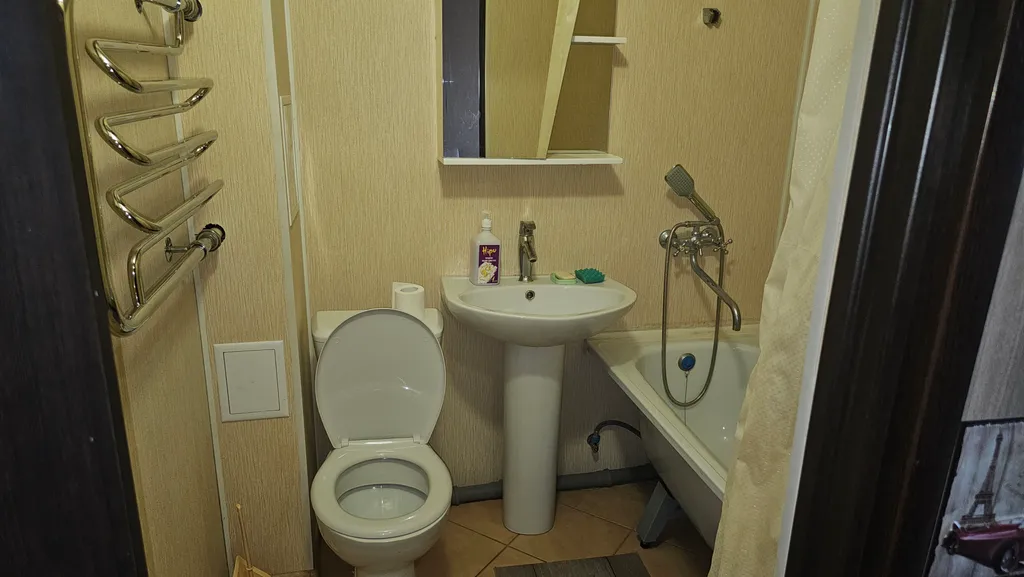 Квартира однокомнатная на улице Новгородской, 30 м², Боровичи — ванная комната, фото 4