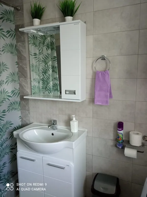 Дом 6-местный на улице Шишкина, 56 м², Сортавала — ванная комната, фото 4