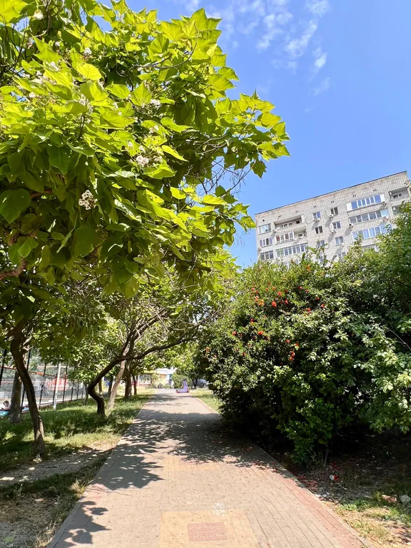 Квартира трёхкомнатная на улице Грибоедова, 61 м², Геленджик — двор, фото 3