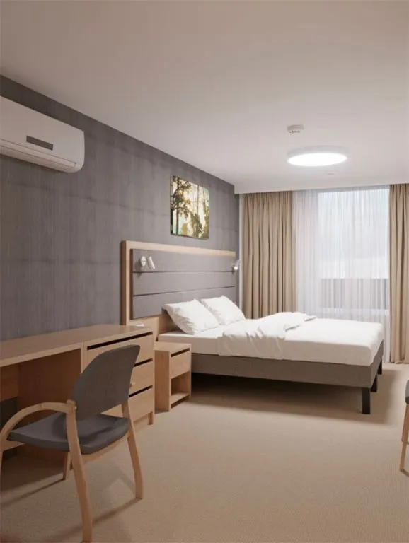 Двухместный номер с 1 кроватью Бизнес