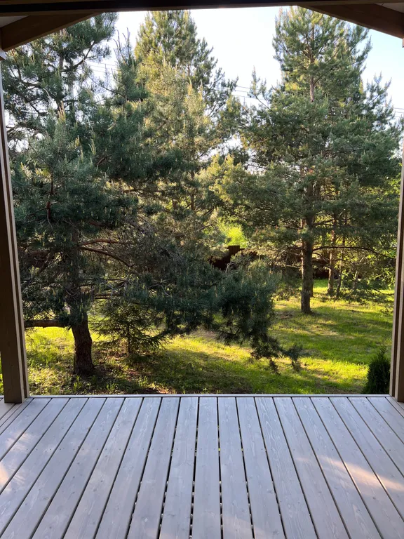 Дом 7-местный в деревни Бекетово, 101 м², Семеновское — вид из окна, фото 3