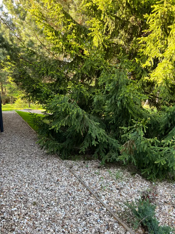 Дом 7-местный в деревни Бекетово, 101 м², Семеновское — фото 40