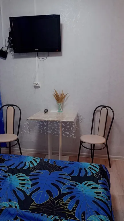 Студия однокомнатная на проспекте Тракторостроителее, 20 м², Чебоксары — спальня, фото 3