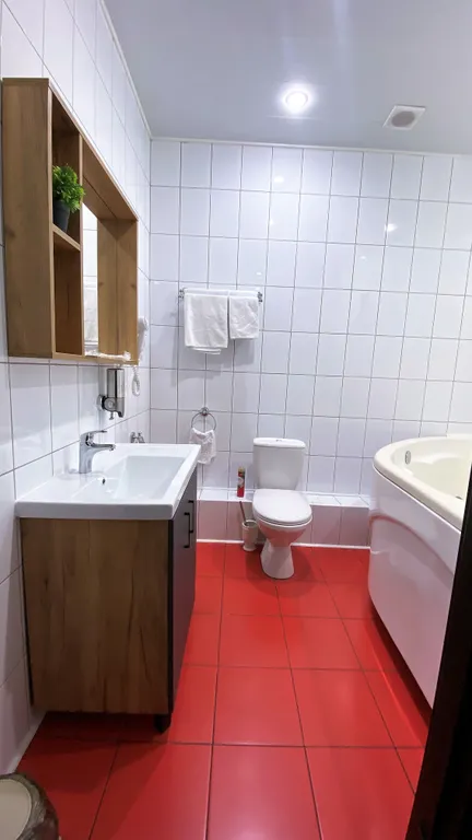 Двухместный номер с 1 кроватью люкс 6