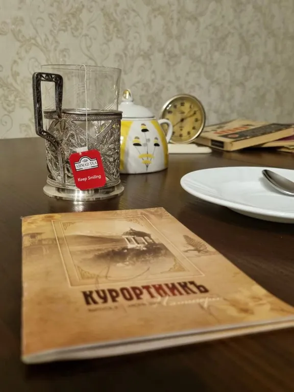 Квартира двухкомнатная на проспекте 40 лет Октября, 40 м², Пятигорск — фото 24