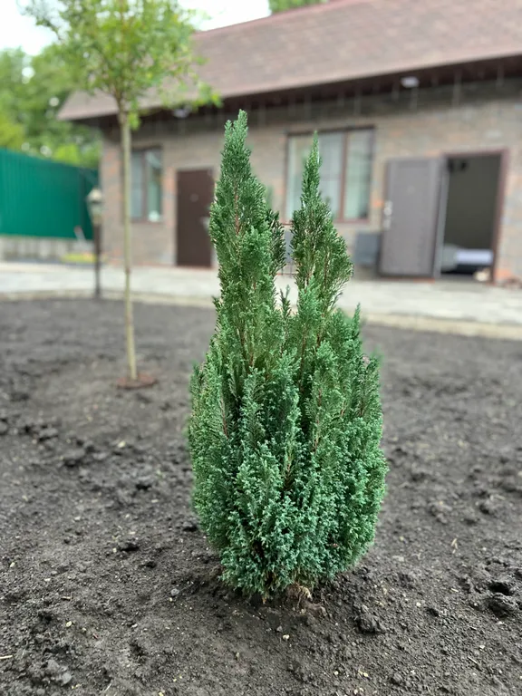 Студия однокомнатная на улице Пятигорской, 30 м², Ессентуки — двор, фото 8