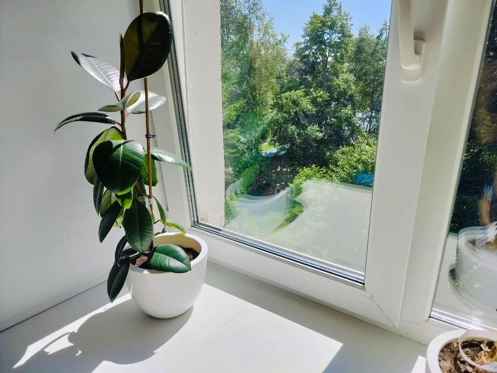 Квартира однокомнатная на проспекте Ленинском, 30 м², Йошкар-Ола — вид из окна