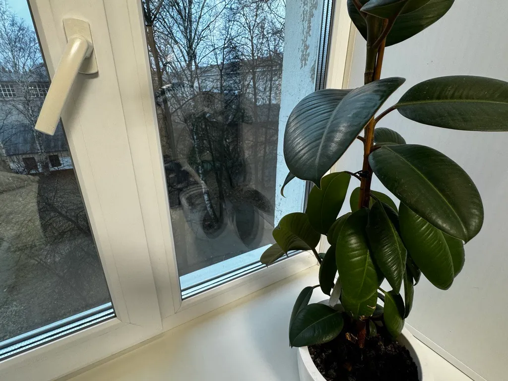 Квартира однокомнатная на проспекте Ленинском, 30 м², Йошкар-Ола — вид из окна, фото 2