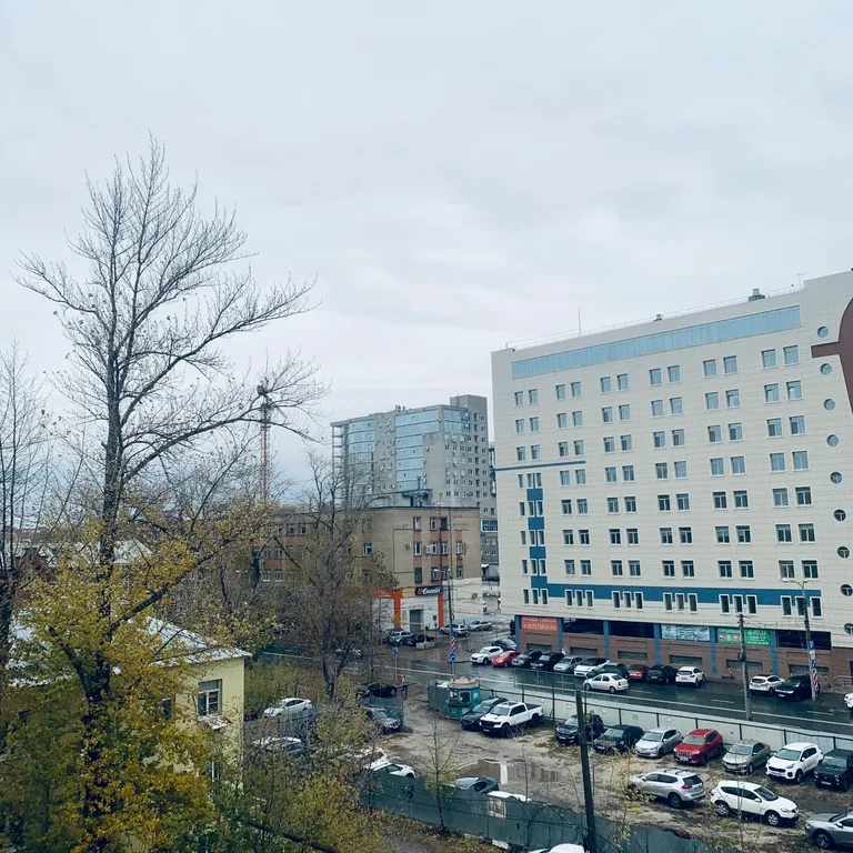 Квартира однокомнатная у Российской, в Октябрьском, 46 м², Самара — вид из окна, фото 3