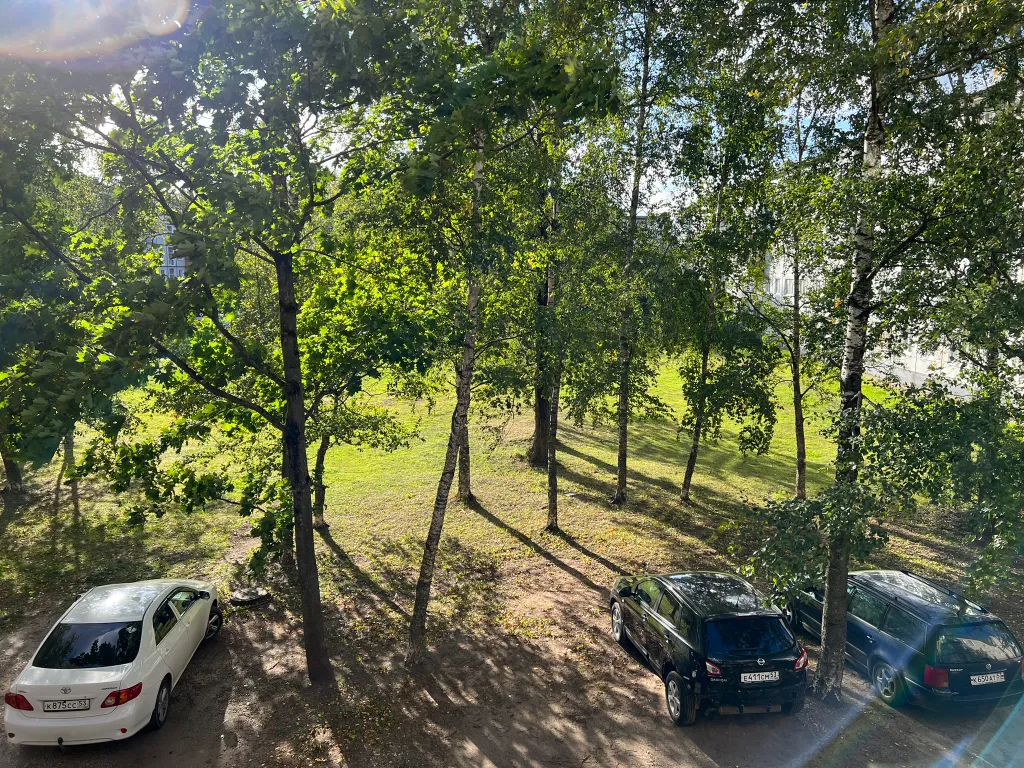 Квартира двухкомнатная на проспекте Мире, 50 м², Великий Новгород — вид из окна