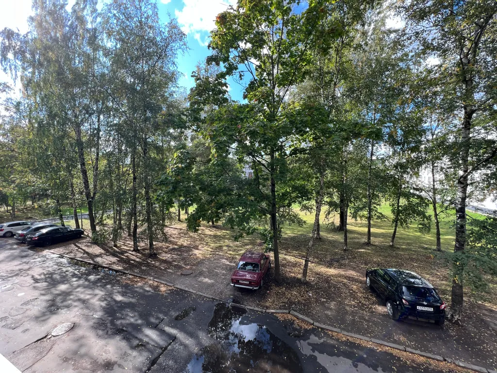 Квартира двухкомнатная на проспекте Мире, 50 м², Великий Новгород — вид из окна, фото 2