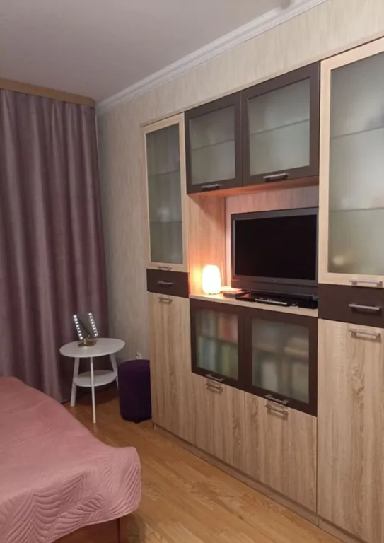 Квартира однокомнатная в Нижегородском, 42 м², Нижний Новгород — фото 4