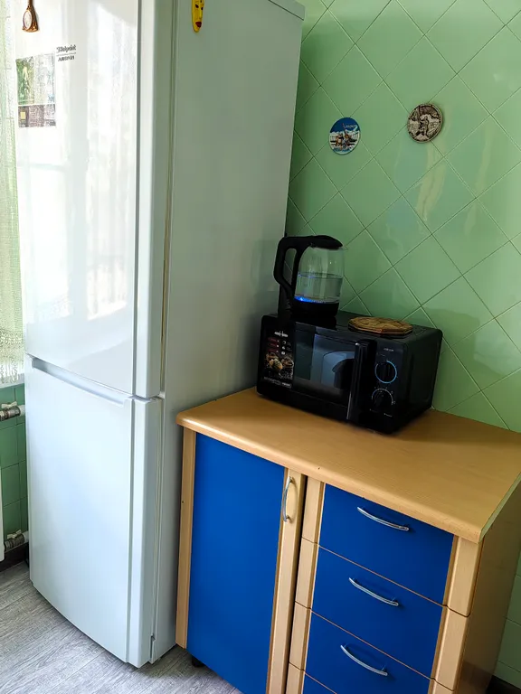Квартира двухкомнатная на улице Волкова, 45 м², Ростов-на-Дону — кухня, фото 4