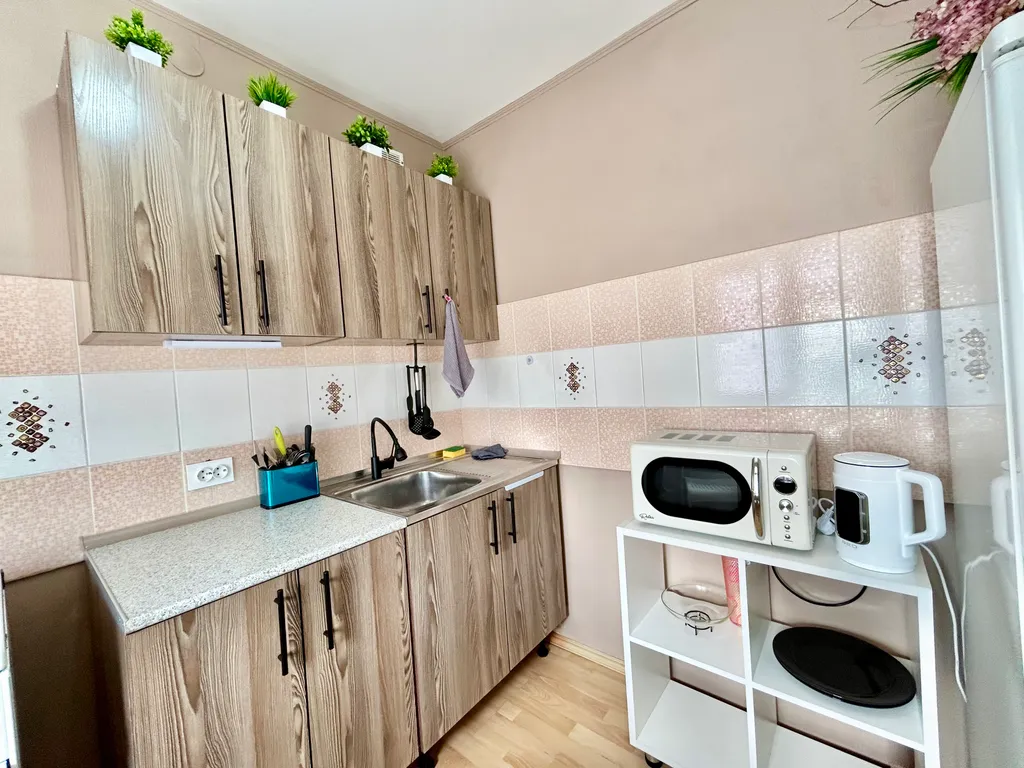 Квартира однокомнатная у метро Площадь 1905 года, 40 м², Екатеринбург — кухня, фото 2