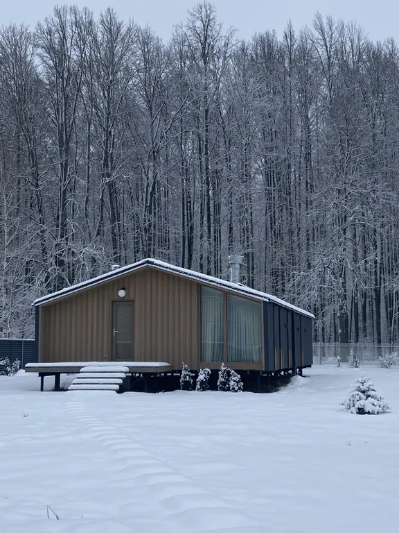 Уютный дом с видом на лес