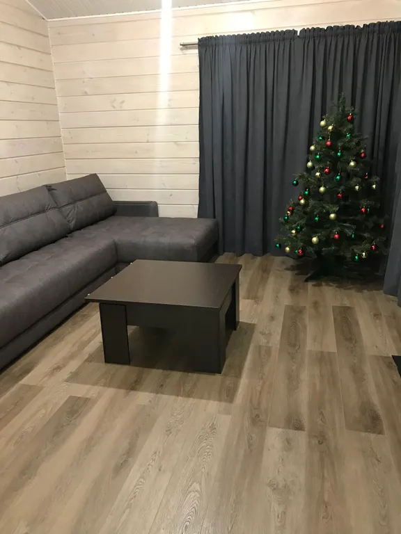 Дом 8-местный на улице Боровой, 120 м², Кончезеро — фото 4