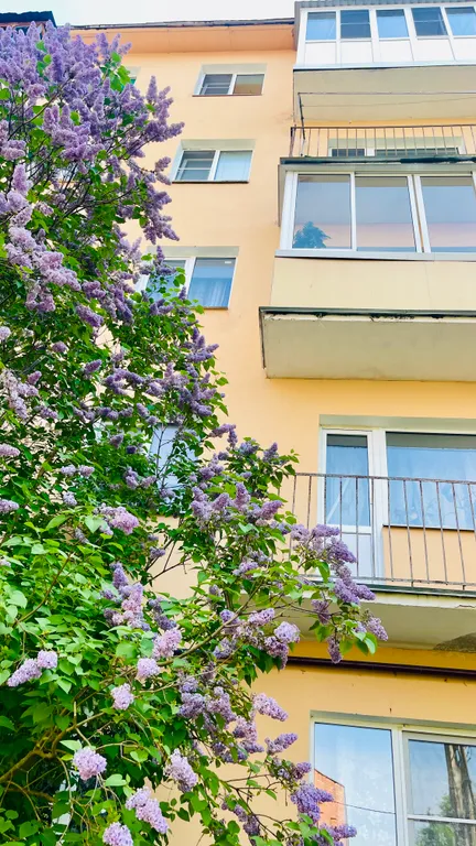 Квартира двухкомнатная на улице Каберова-Власьевской, 43 м², Великий Новгород — фото 29