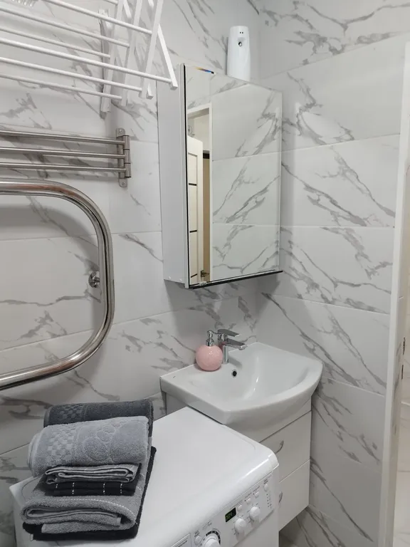 Студия однокомнатная в Автозаводском, 24 м², Нижний Новгород — ванная комната, фото 2