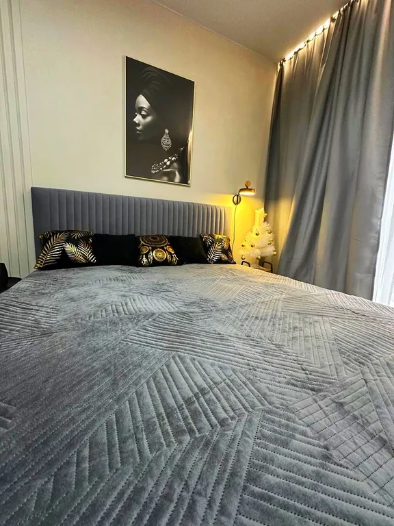 Студия однокомнатная у Горьковской, в Кузнечихе, 40 м², Нижний Новгород — спальня, фото 3